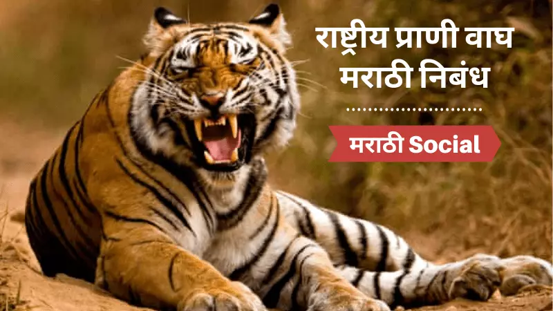 Essay On Tiger in Marathi