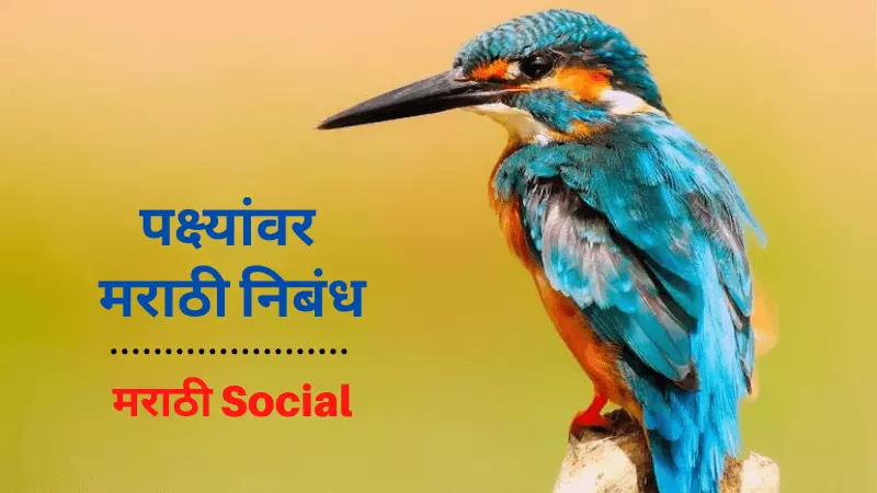Essay on Birds in Marathi