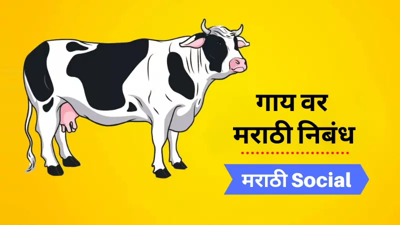 Essay on Cow in Marathi