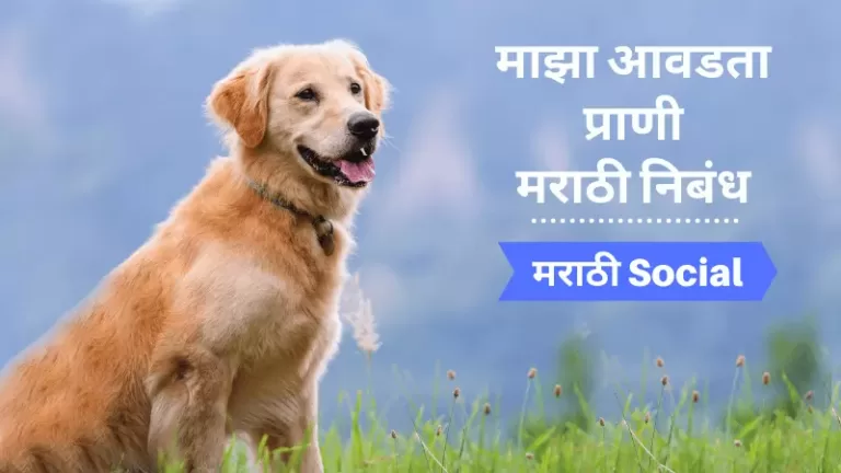 माझा आवडता प्राणी कुत्रा निबंध, Essay On Dog in Marathi