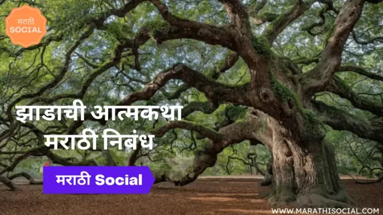 autobiography of a tree in marathi essay