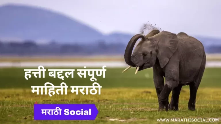 Elephant Information in Marathi