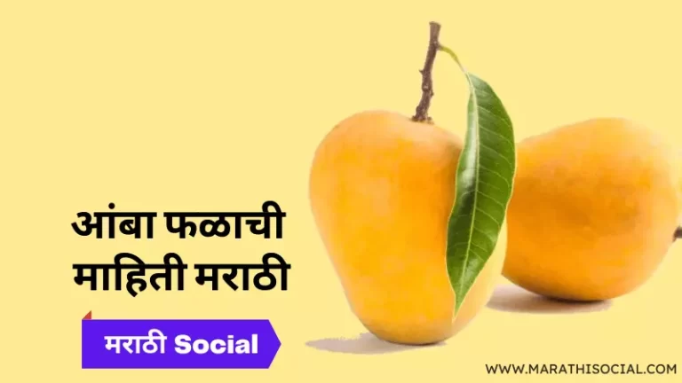 Mango Information in Marathi