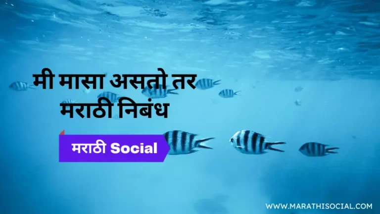 Mi Fish Zalo Tar Marathi Nibandh