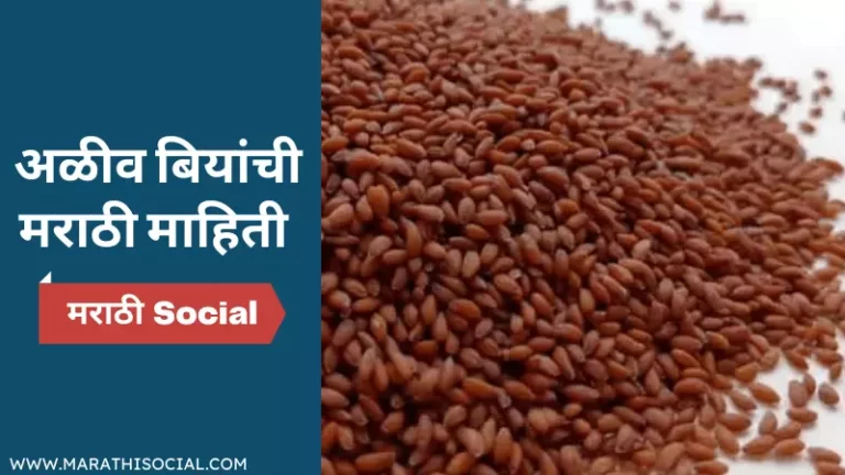 Aliv Seeds Information in Marathi