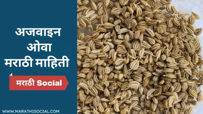 Benefits of Ajwain in Marathi