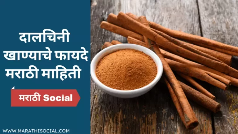 Cinnamon Information in Marathi