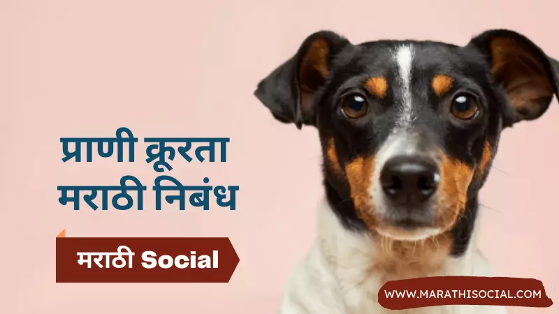 Animal Cruelty Essay in Marathi