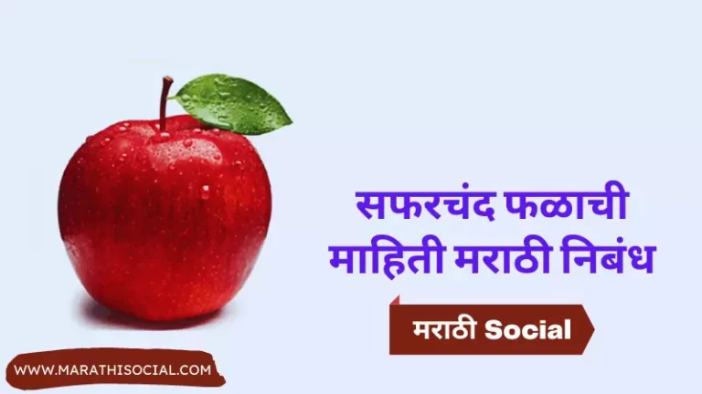 Apple Information in Marathi