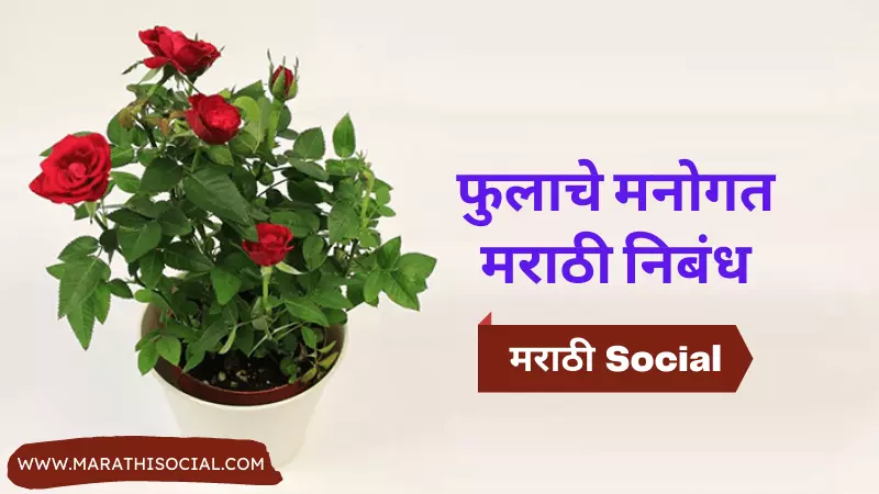 Autobiography of Flower in Marathi