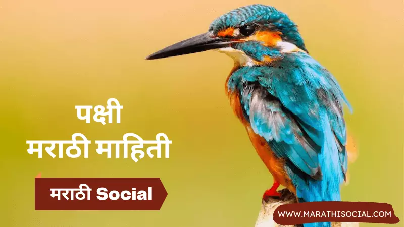 Birds Information in Marathi