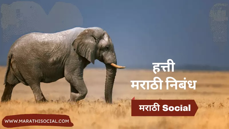 essay of elephant in marathi