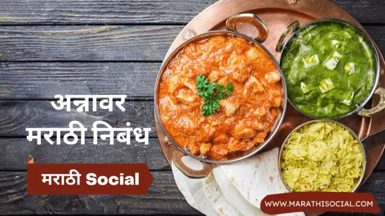 Essay On Food in Marathi