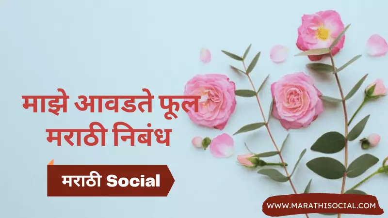 My Favourite Flower Rose Essay in Marathi