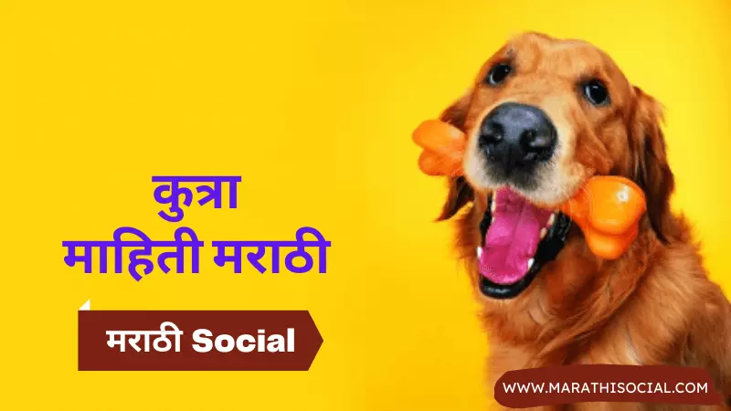 Dog Information in Marathi