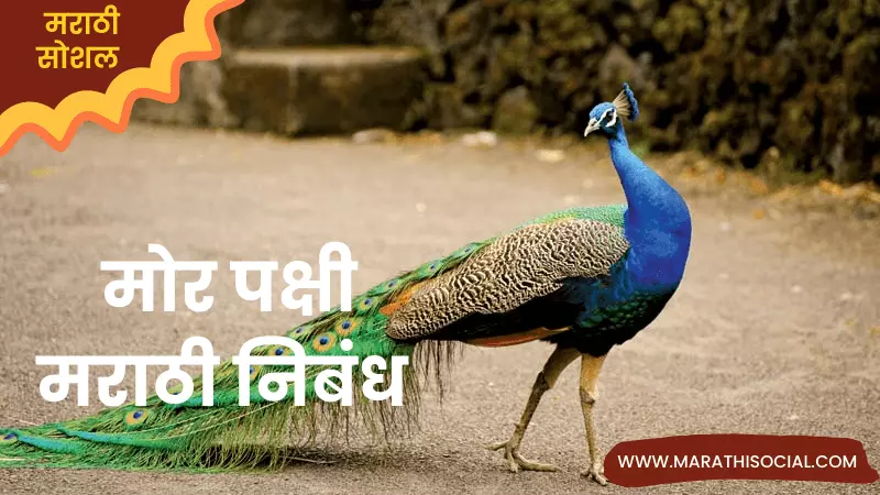 Essay On Peacock in Marathi