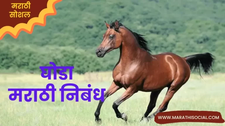 Horse Essay in Marathi