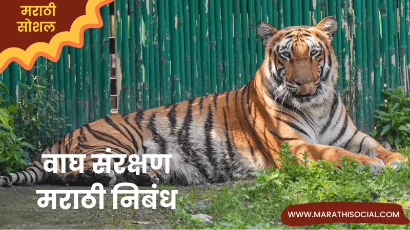 Essay On Save Tiger in Marathi