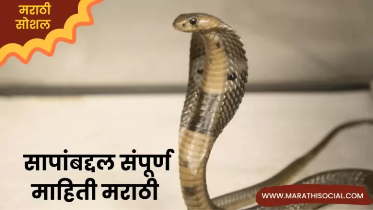 Snake Information in Marathi